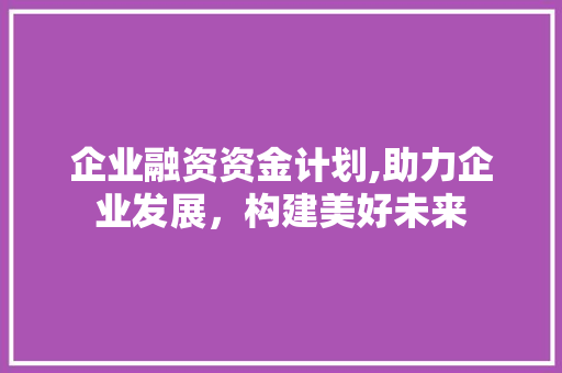 企业融资资金计划,助力企业发展，构建美好未来