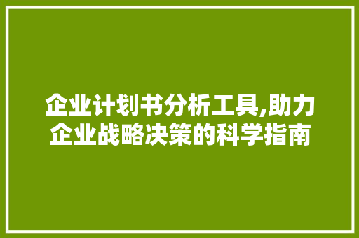 企业计划书分析工具,助力企业战略决策的科学指南