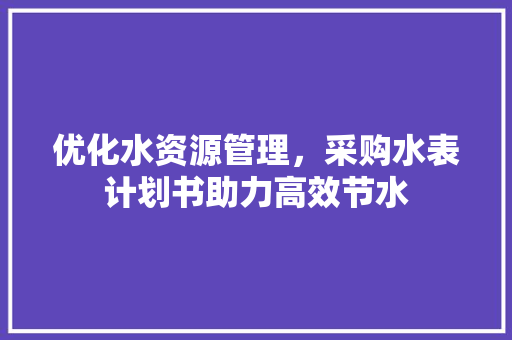 优化水资源管理，采购水表计划书助力高效节水