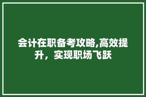 会计在职备考攻略,高效提升，实现职场飞跃