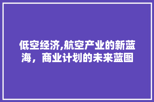 低空经济,航空产业的新蓝海，商业计划的未来蓝图