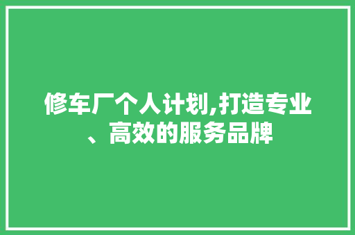 修车厂个人计划,打造专业、高效的服务品牌