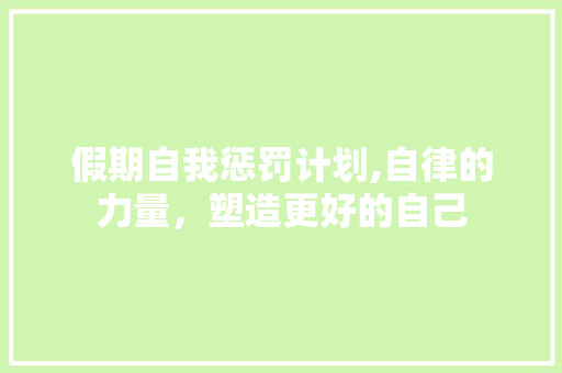 假期自我惩罚计划,自律的力量，塑造更好的自己