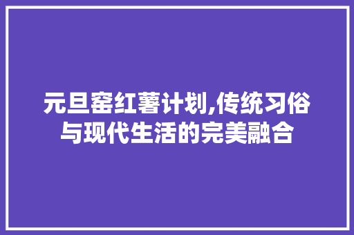 元旦窑红薯计划,传统习俗与现代生活的完美融合