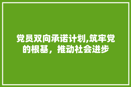 党员双向承诺计划,筑牢党的根基，推动社会进步