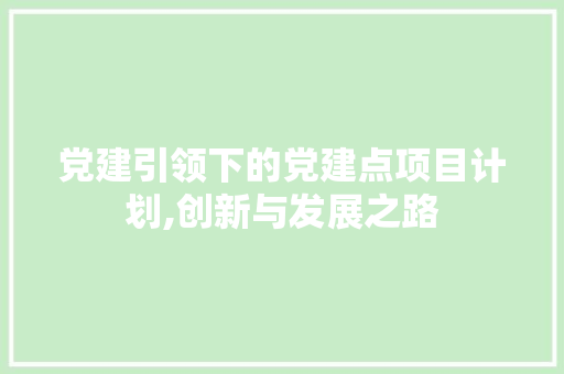 党建引领下的党建点项目计划,创新与发展之路