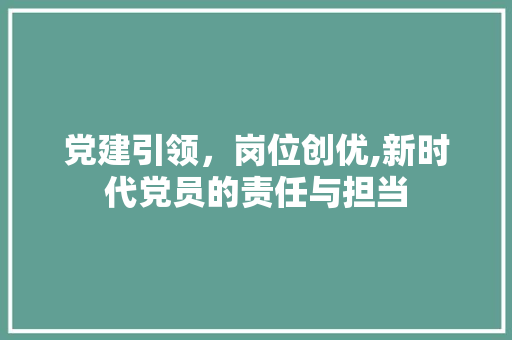 党建引领，岗位创优,新时代党员的责任与担当