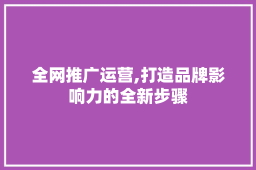 全网推广运营,打造品牌影响力的全新步骤