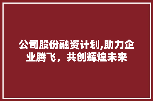 公司股份融资计划,助力企业腾飞，共创辉煌未来 申请书范文