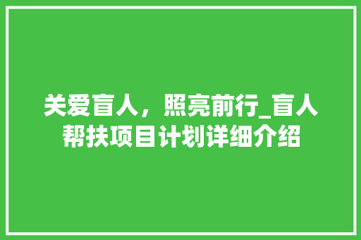 关爱盲人，照亮前行_盲人帮扶项目计划详细介绍