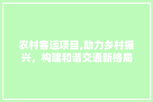 农村客运项目,助力乡村振兴，构建和谐交通新格局