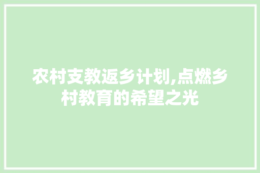 农村支教返乡计划,点燃乡村教育的希望之光