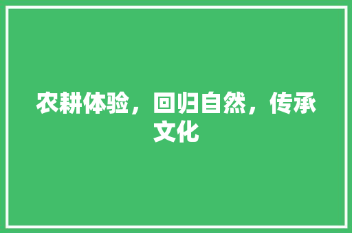 农耕体验，回归自然，传承文化