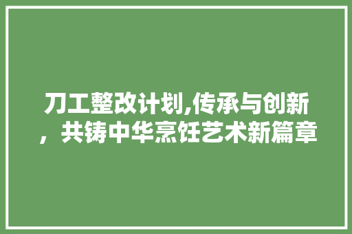 刀工整改计划,传承与创新，共铸中华烹饪艺术新篇章