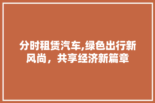 分时租赁汽车,绿色出行新风尚，共享经济新篇章