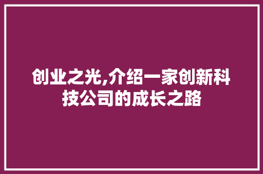 创业之光,介绍一家创新科技公司的成长之路