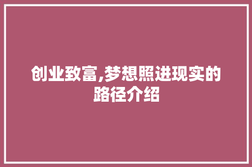 创业致富,梦想照进现实的路径介绍