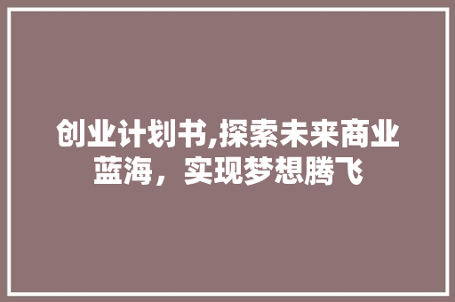 创业计划书,探索未来商业蓝海，实现梦想腾飞