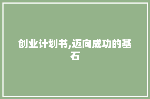 创业计划书,迈向成功的基石 职场范文