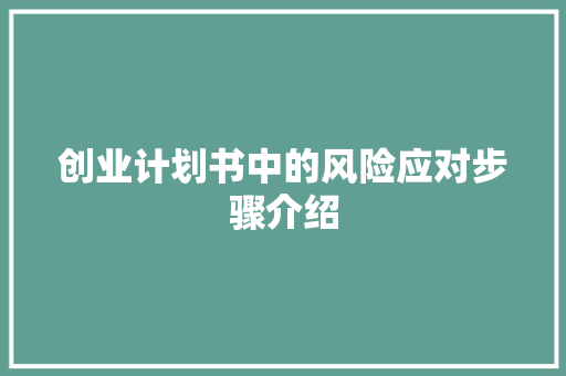 创业计划书中的风险应对步骤介绍 论文范文