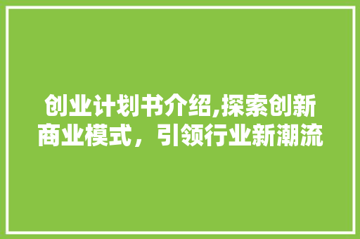 创业计划书介绍,探索创新商业模式，引领行业新潮流