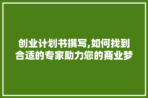 创业计划书撰写,如何找到合适的专家助力您的商业梦想