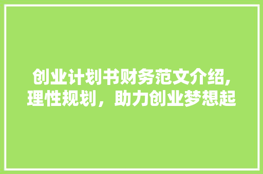 创业计划书财务范文介绍,理性规划，助力创业梦想起飞