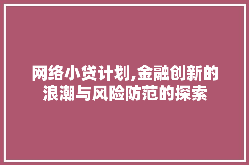 网络小贷计划,金融创新的浪潮与风险防范的探索