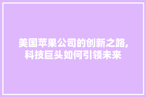 美国苹果公司的创新之路,科技巨头如何引领未来