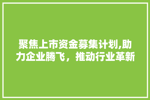 聚焦上市资金募集计划,助力企业腾飞，推动行业革新