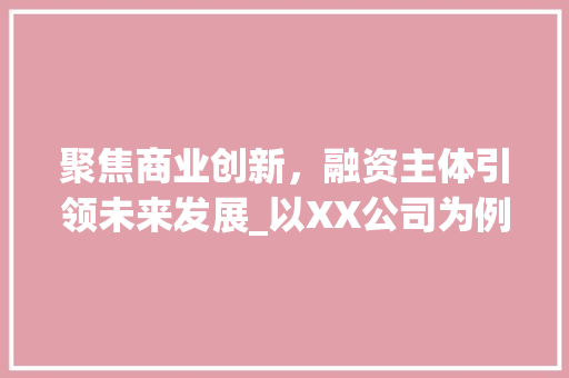 聚焦商业创新，融资主体引领未来发展_以XX公司为例