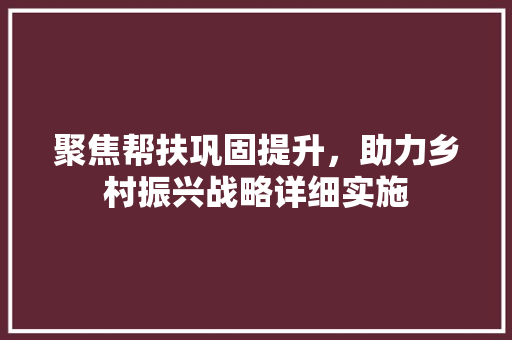 聚焦帮扶巩固提升，助力乡村振兴战略详细实施