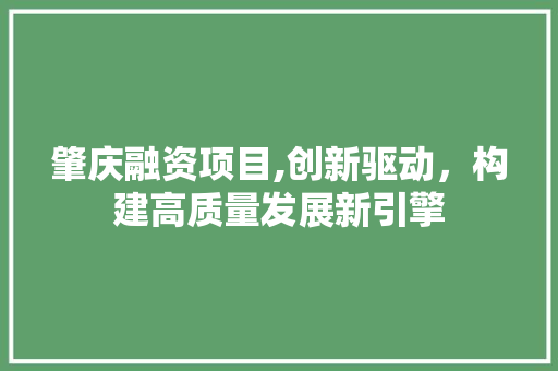 肇庆融资项目,创新驱动，构建高质量发展新引擎