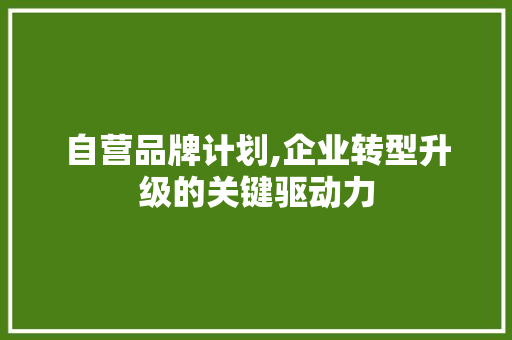 自营品牌计划,企业转型升级的关键驱动力