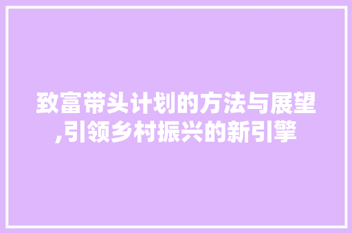 致富带头计划的方法与展望,引领乡村振兴的新引擎