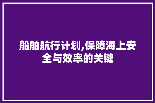 船舶航行计划,保障海上安全与效率的关键