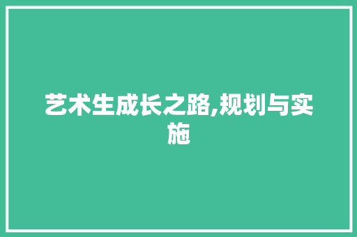 艺术生成长之路,规划与实施