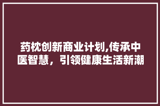 药枕创新商业计划,传承中医智慧，引领健康生活新潮流