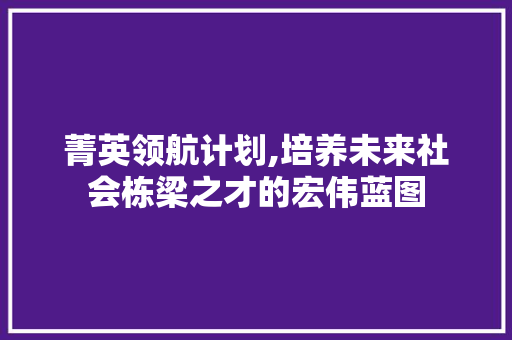 菁英领航计划,培养未来社会栋梁之才的宏伟蓝图