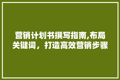 营销计划书撰写指南,布局关键词，打造高效营销步骤