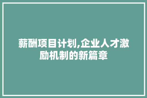 薪酬项目计划,企业人才激励机制的新篇章