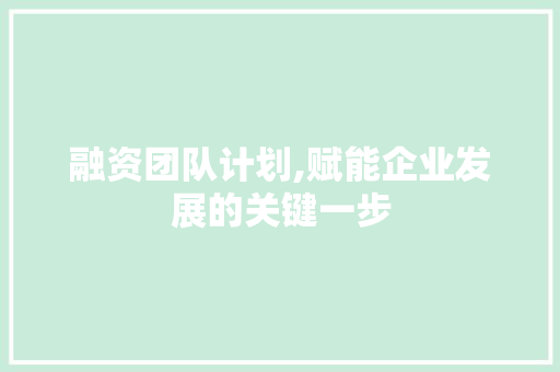 融资团队计划,赋能企业发展的关键一步