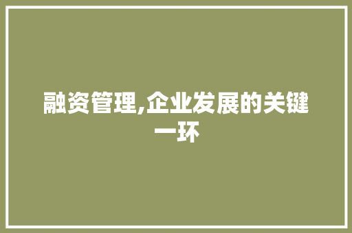 融资管理,企业发展的关键一环