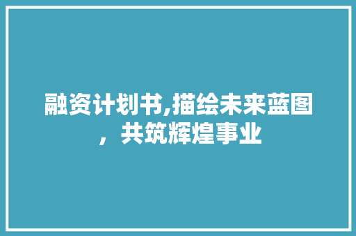 融资计划书,描绘未来蓝图，共筑辉煌事业