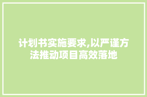 计划书实施要求,以严谨方法推动项目高效落地 演讲稿范文