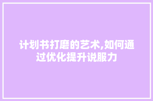 计划书打磨的艺术,如何通过优化提升说服力