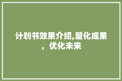 计划书效果介绍,量化成果，优化未来