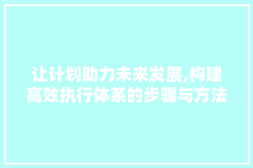 让计划助力未来发展,构建高效执行体系的步骤与方法