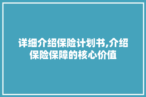 详细介绍保险计划书,介绍保险保障的核心价值