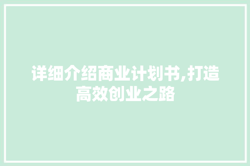 详细介绍商业计划书,打造高效创业之路 报告范文